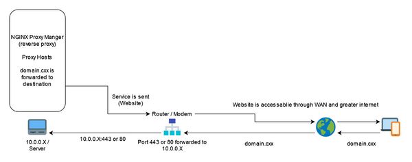 Docker Networks and Nginx Proxy Manager